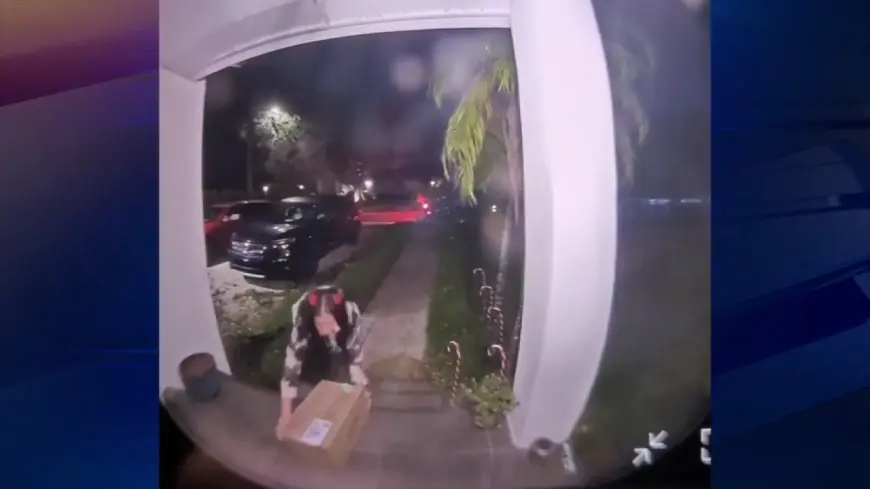 Police search for two people seen in video stealing package, driving away from South Miami home