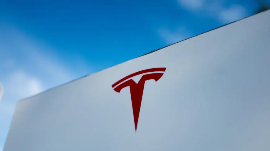 Tesla Model Q: Are the rumors about the new, affordable Tesla true?