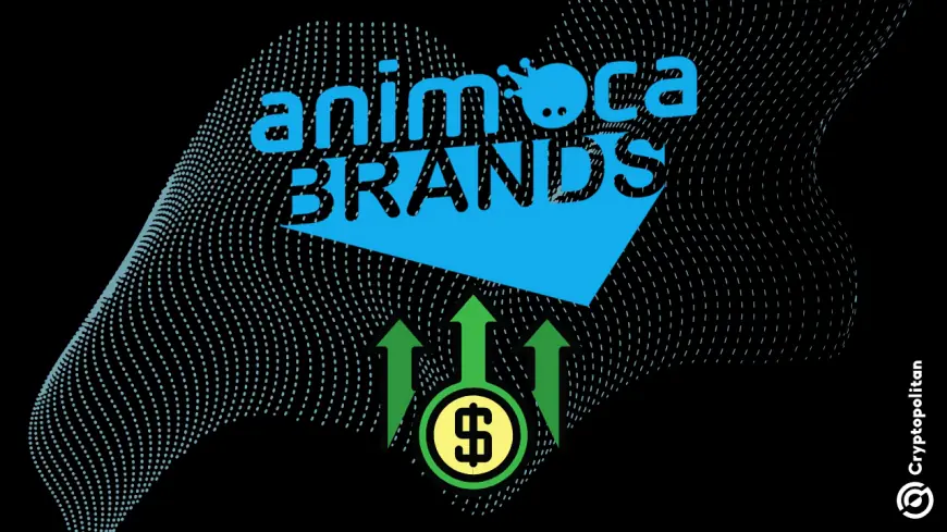 Animoca Brands on track to end 2024 as a VC funding leader