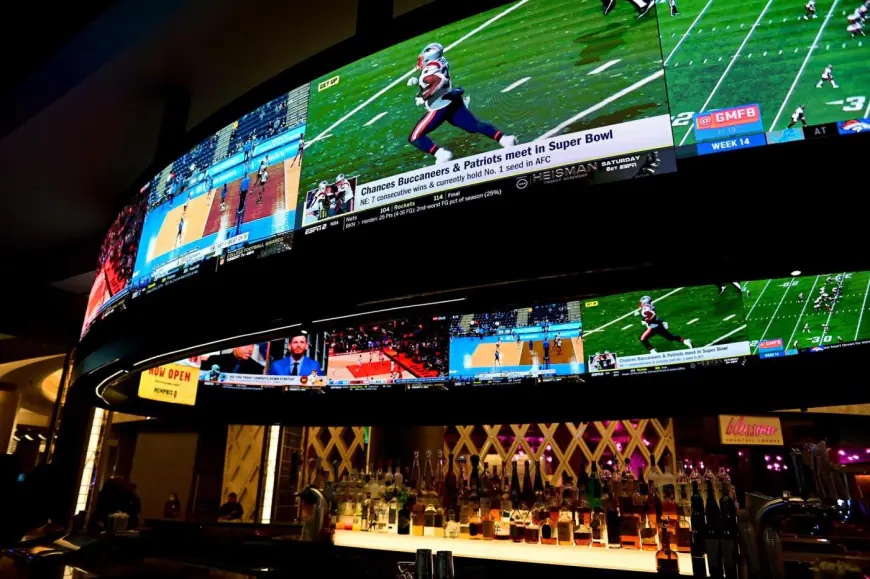 Growth of sports betting may be linked to financial woes, new studies find