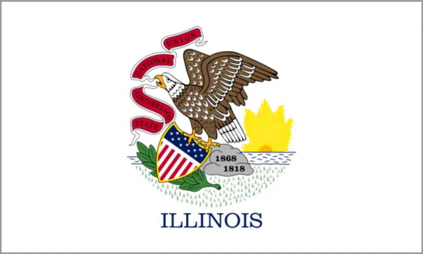 Photos: New Illinois flag finalists