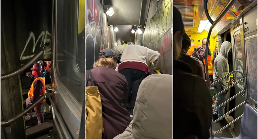 ‘People peeing in between the cars’: Power outage strands NYC subway riders during storm