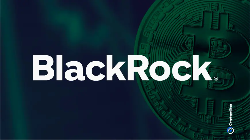 BlackRock: Bitcoin offers top return potential, but keep allocation at 1-2%