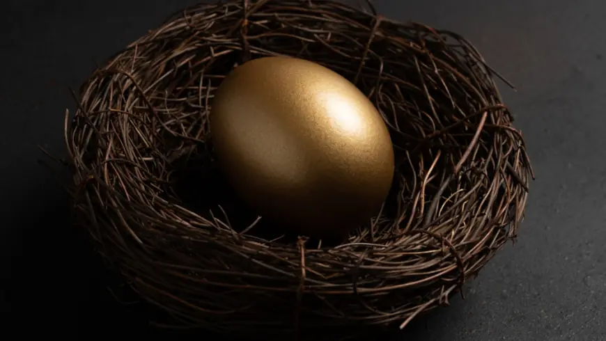 Can You Guess What Percent Of People Retire With A $5 Million Nest Egg? Hint: It's Way Less Than 1%