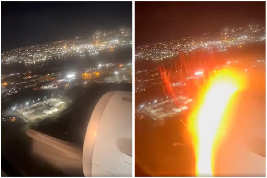 Video appears to show bird strike after LGA takeoff, forcing JFK emergency landing