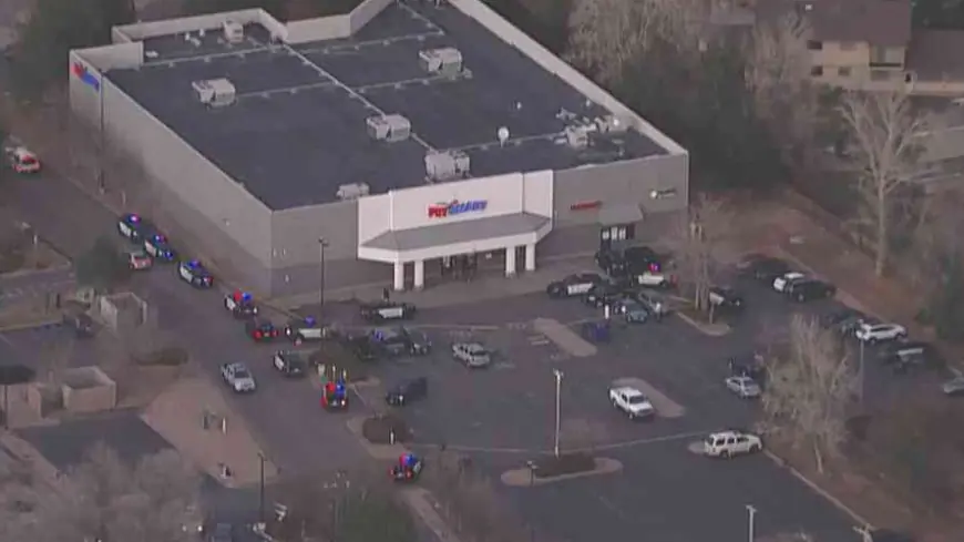 Police: 'Several suspects' in custody after shots fired at Lakewood PetSmart