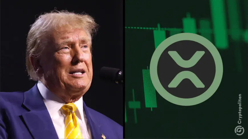 XRP leads the Trump trade bull run. But can it actually sustain it?