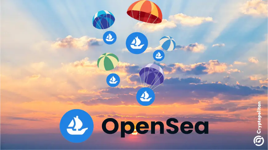 OpenSea sparks token airdrop rumors after Cayman Islands registration