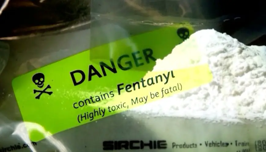 'Have hope': EMS says fentanyl deaths 'plateauing'