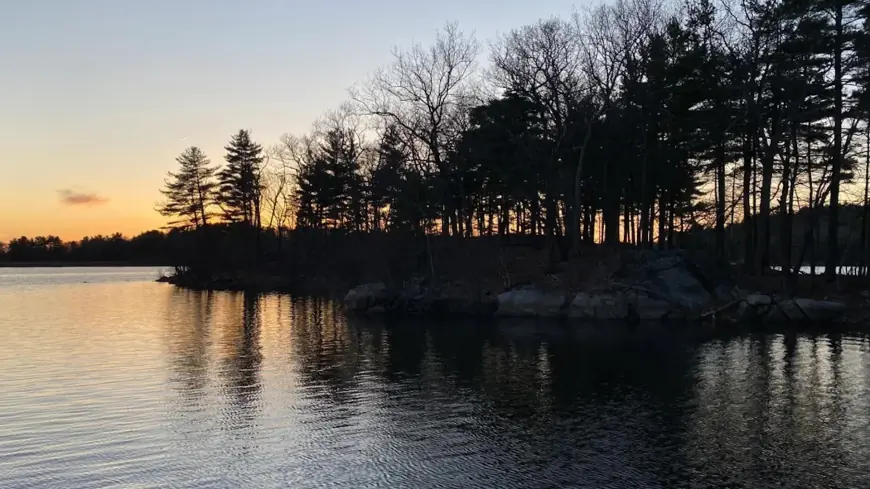 Second-largest municipal park in the nation announces closure after growing threat causes significant damage: 'It's really dangerous in there'