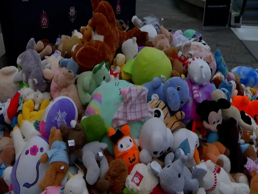 Albany FireWolves fans toss 925 teddy bears for charity