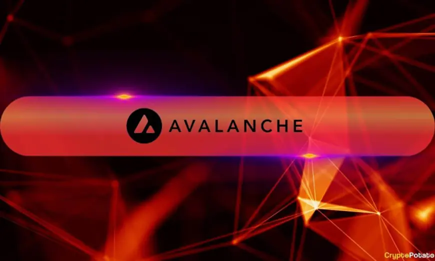 Everything You Need to Know About Avalanche9000 Network Upgrade with Etna on Mainnet