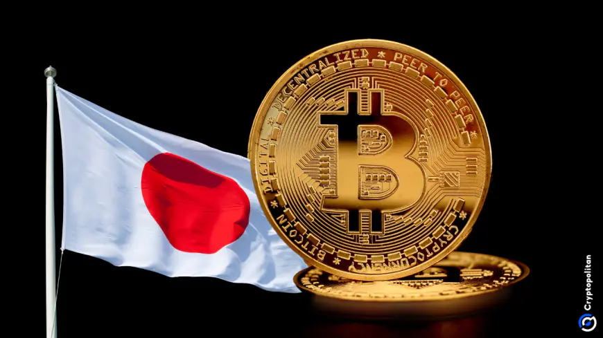 Gutting Satoshi — How Bitcoin can be taxed at 110% in Japan