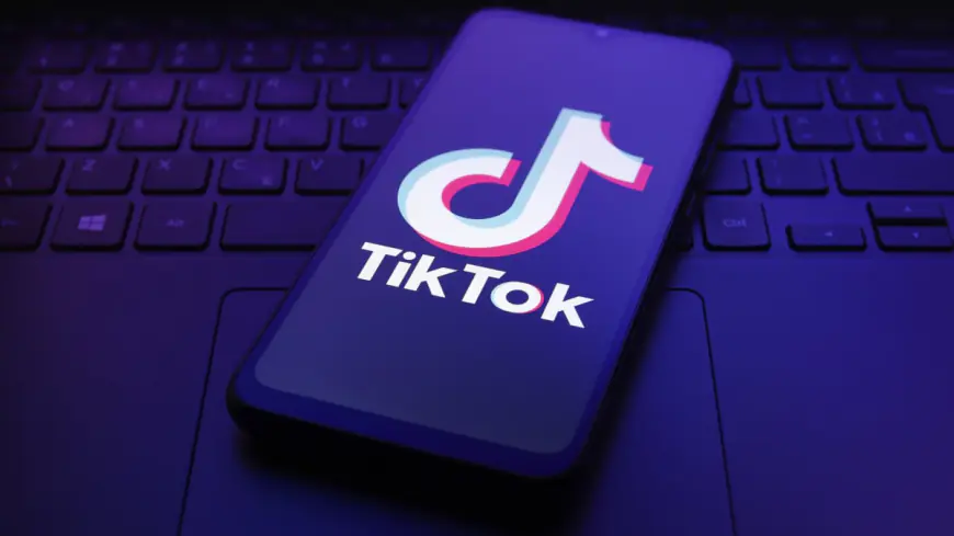 Supreme Court must halt TikTok ban, ACLU argues