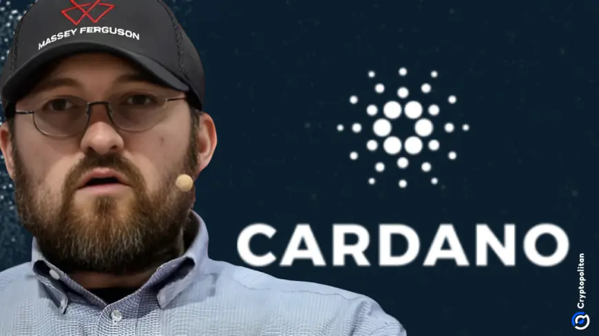 Charles Hoskinson plans to move Cardano Foundation to Abu Dhabi or Wyoming – What’s happening?