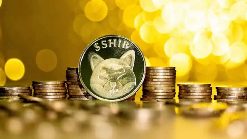 Shiba Inu’s Executives Reflects on Shibarium’s Journey: DApps, Ecosystem Expansion, and Overcoming Doubts