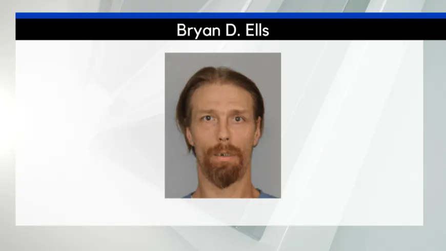 Erie County man admits to fleeing from police in stolen patrol vehicle