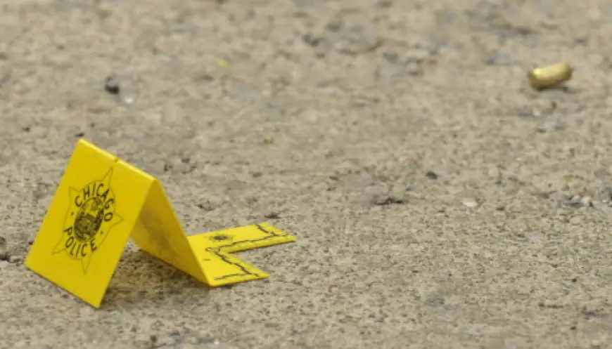 Male found fatally shot in West Pullman