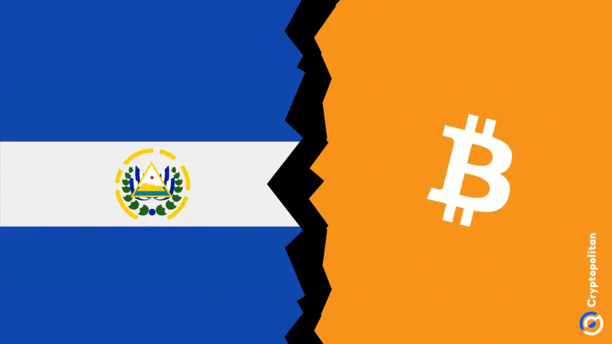 El Salvador snaps up 11 Bitcoin worth over $1 M to supercharge its crypto reserves