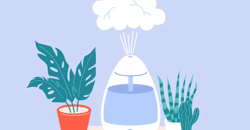 The perfect humidifier doesn’t exist