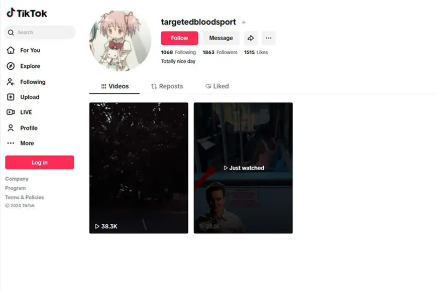 Tiktok page linked to school shooter Natalie Rupnow deleted after complaints at racist comments