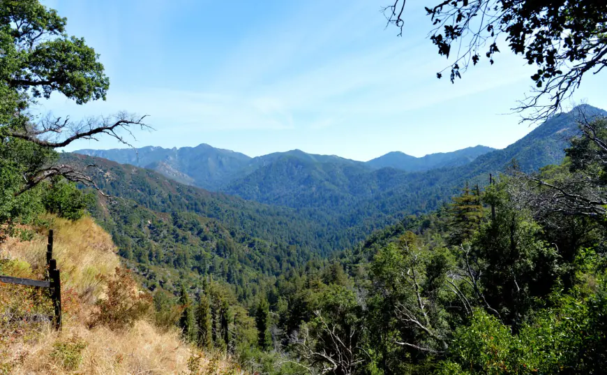 Man pleads guilty to illegal marijuana cultivation in Los Padres National Forest