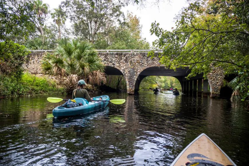 Experience wild Florida with a trip down the Loxahatchee River