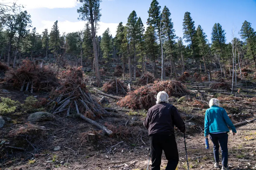 Opinion: Fear of forest fires fuels unnecessary and unhelpful logging on public lands