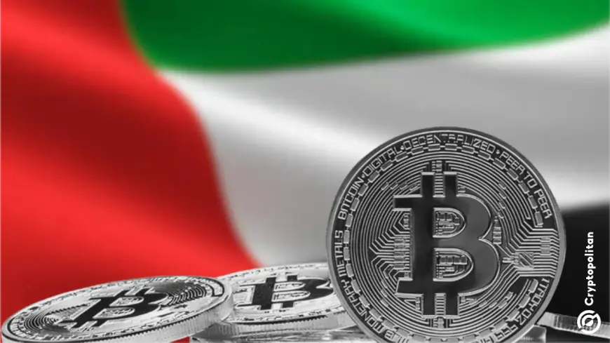 UAE now holds $40 billion in Bitcoin