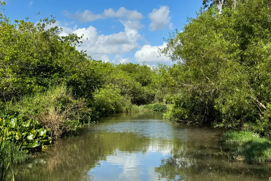 The Miccosukee fight to protect the Everglades in the face of climate change