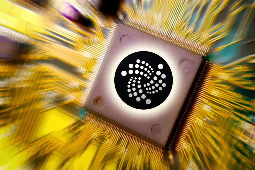 ‘This Isn’t a Token Casino’: IOTA Founder Details Project’s Real-World Successes