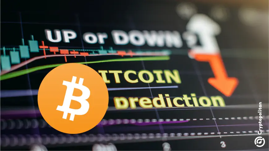 Crypto investors turn bearish the last 2 weeks – Do 2025 predictions even matter?