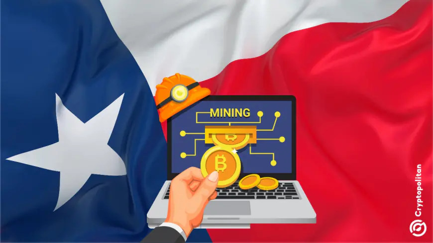 Texas an Oasis for Bitcoin says the only Bitcoin Miner in US Senate