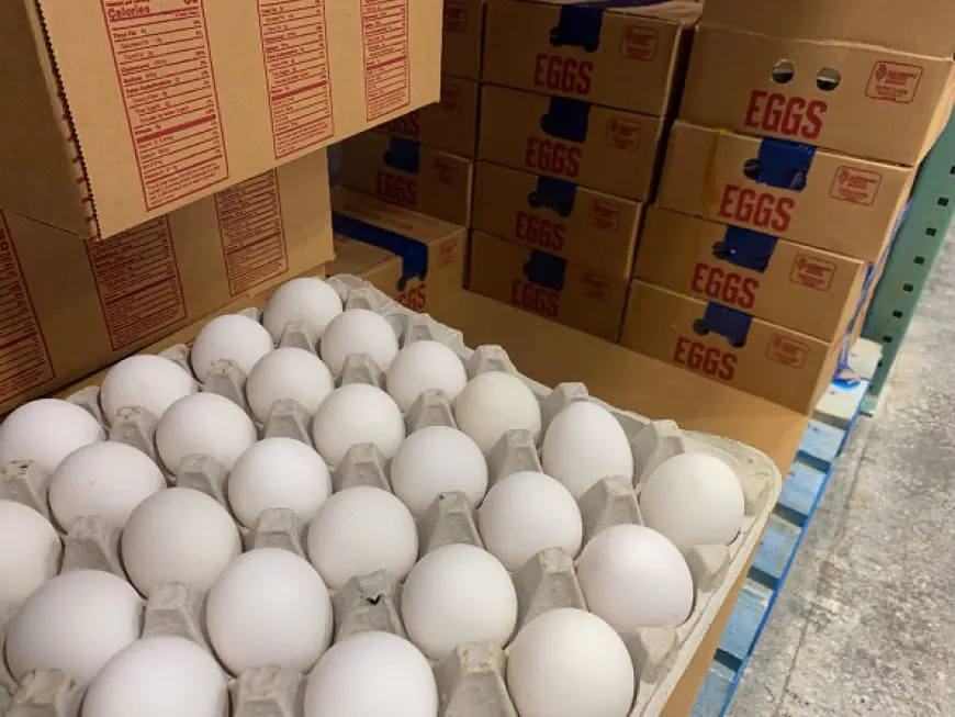 Costco egg recall escalated amid salmonella concerns: FDA