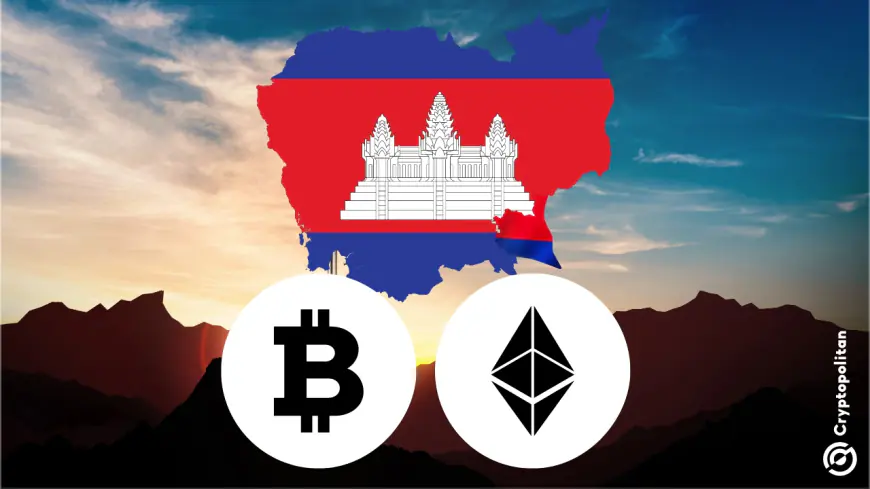 Cambodia embraces stablecoins with new law, but Bitcoin and Ether are still banned