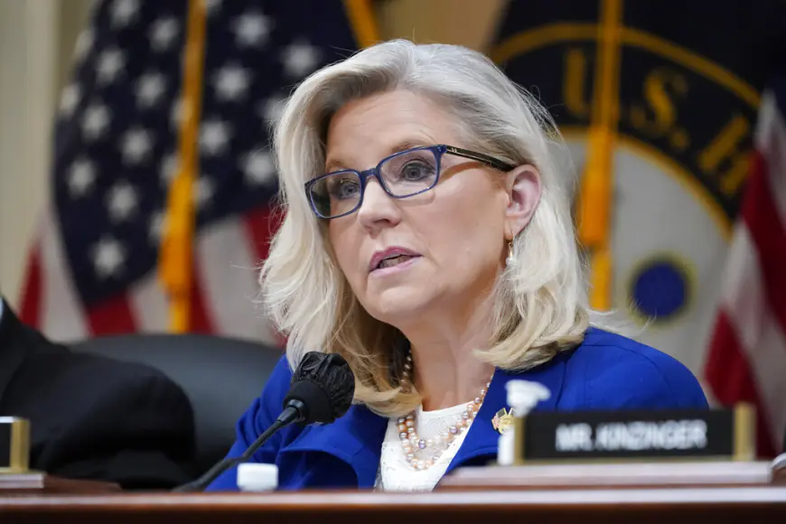 Liz Cheney’s Immunity