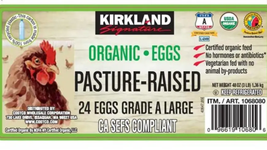 Costco egg recall for salmonella receives FDA's most severe designation