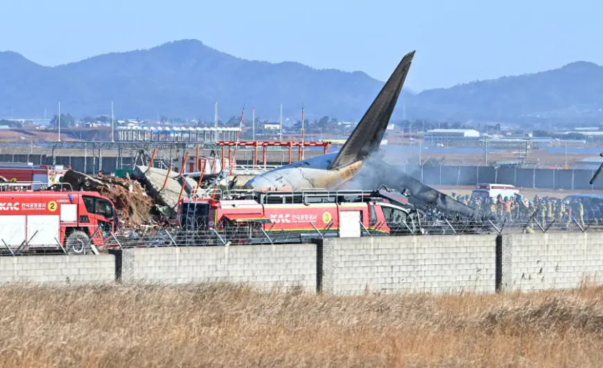 Plane burst into flames after skidding off runway at an airport in South Korea, killing at least 62