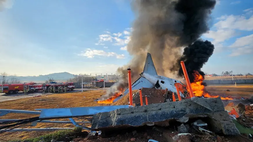 Plane veers off airport runway in South Korea and crashes, killing at least 62: report