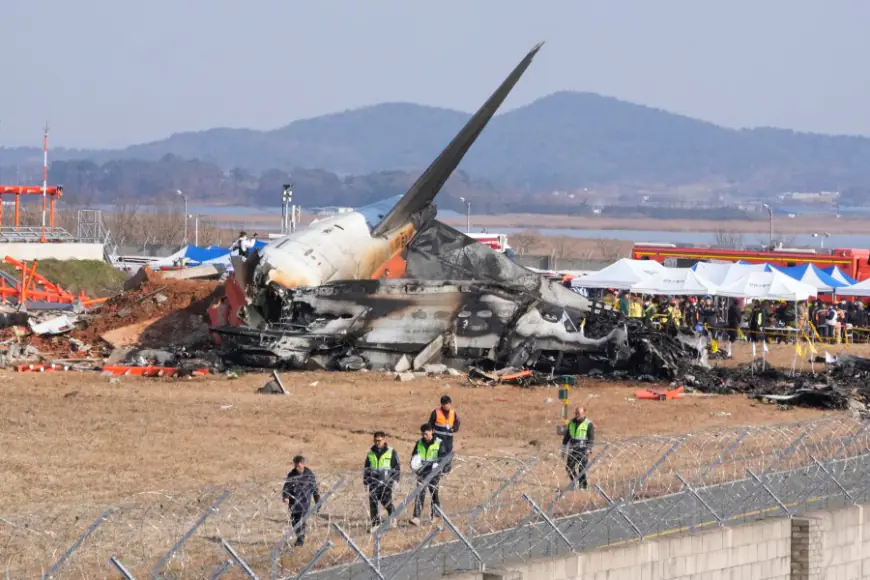 A plane is engulfed in flames after skidding off the runway in South Korea, killing at least 177