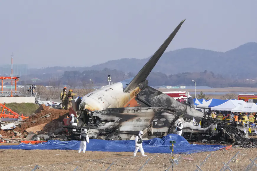 Plane Crashes and Bursts Into Flames While Landing at South Korea, Killing 179