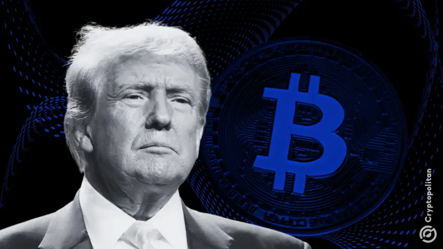 Trump’s Bitcoin Reserve plan could drive Bitcoin to $150K-$400K in 2025, says Blockware