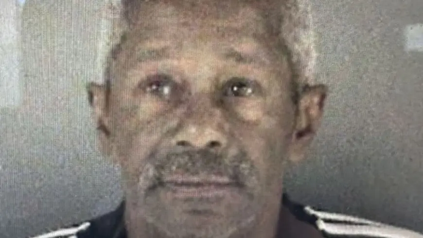 Authorities search for missing elderly man with dementia: police 