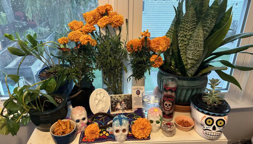 El deseo de entender mis propias tradiciones desencadenó mi nota sobre la icónica flor del Día de Muertos