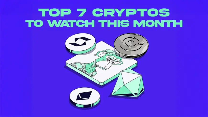 The 4 Best Meme Coin Presales to Join This Week [ROI to Look Forward to!]