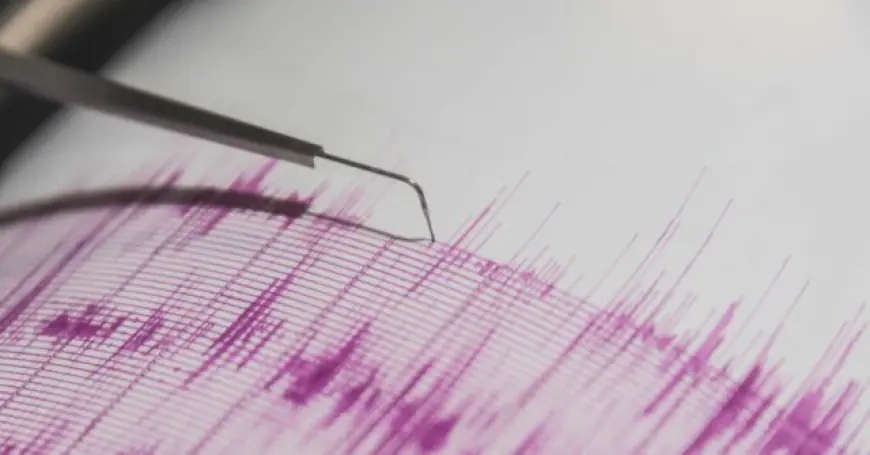 Northern California Hit by 4.7 Earthquake on New Year's Day