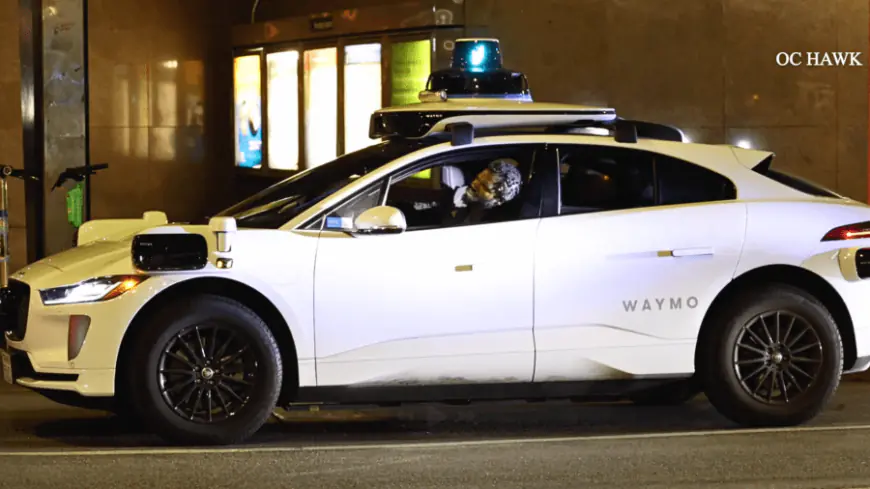 Man attempts to take over a self-driving taxi in downtown Los Angeles