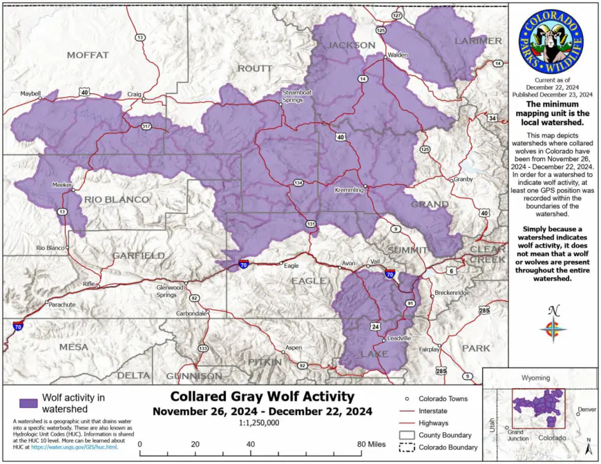 Map shows how far Colorado’s wandering wolves spread out in December