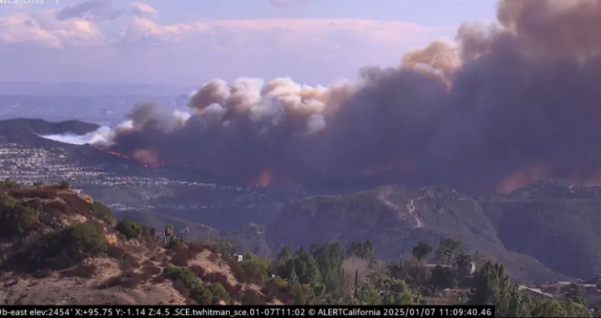 Fast-moving wildfire erupts in Pacific Palisades; homes threatened