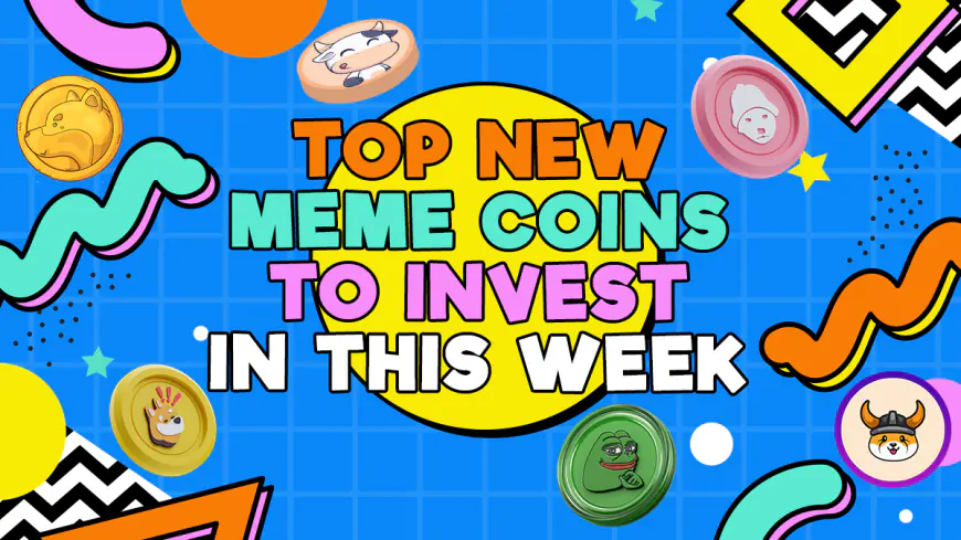 The 3 Best Meme Coin Presales to Buy Today: BTFD Coin, Baby Dogecoin and Gigachad Lead the Pack